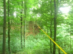 Highlineaufbau im Wald