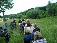 Durch Wälder und Wiesen auf der Suche nach Wildkräutern